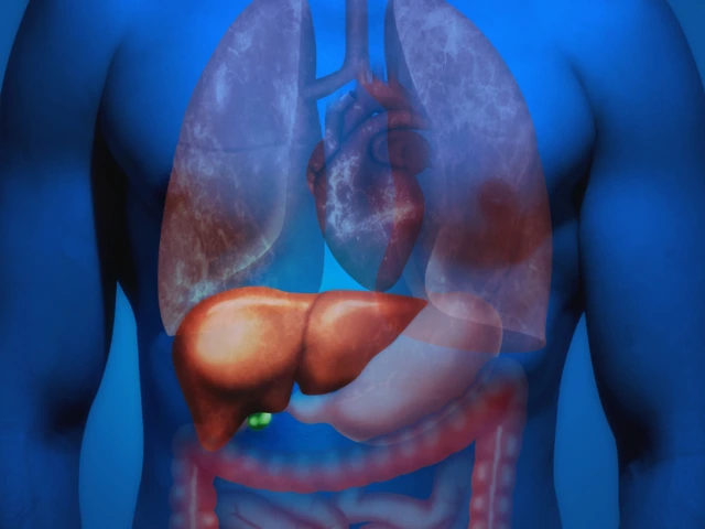 Liver Health - Overview | Thomas D. Boyer Liver Institute